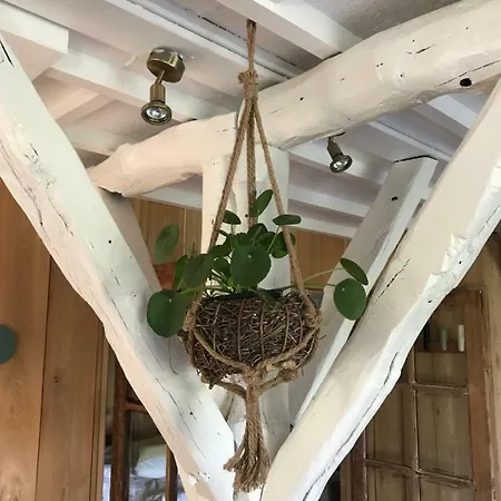 Barsy 34 Πανσιόν 3*